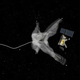 An idea for a satellite that kills other satellites. Reminiscent of Drax Industries.